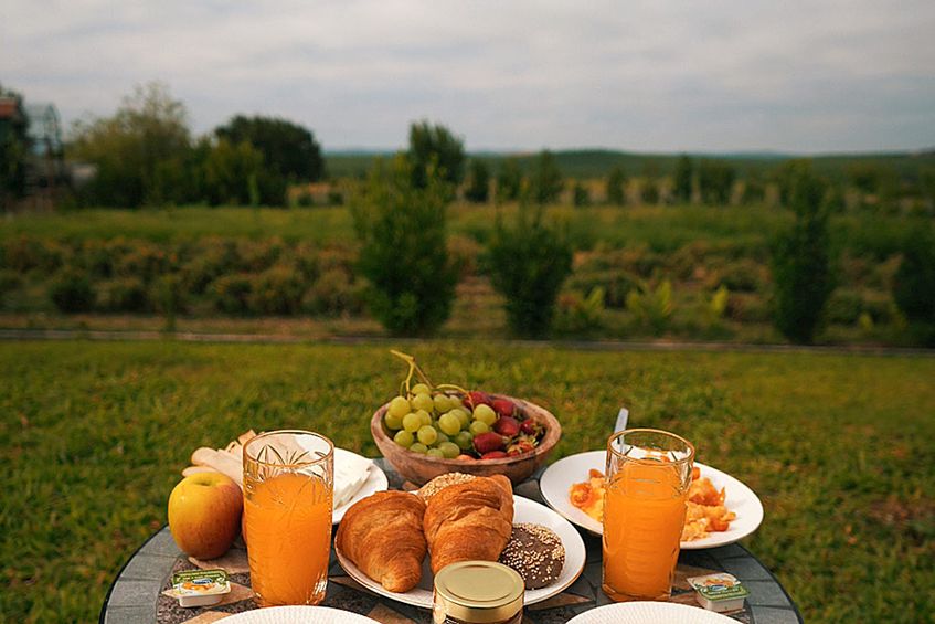 Monte de Palma - Quinta Biodinâmica