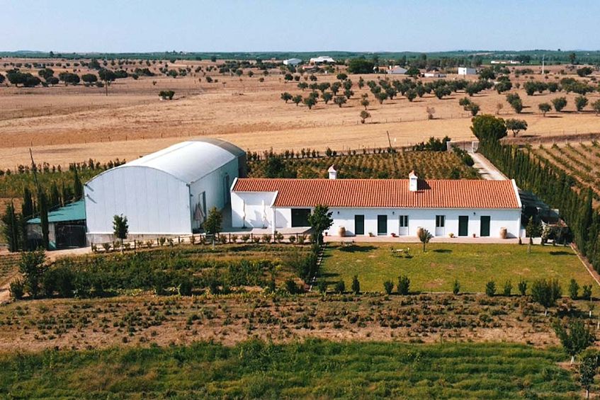 Monte de Palma - Quinta Biodinâmica