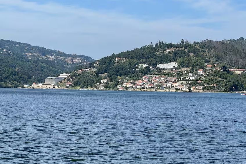 Alua Douro 2019