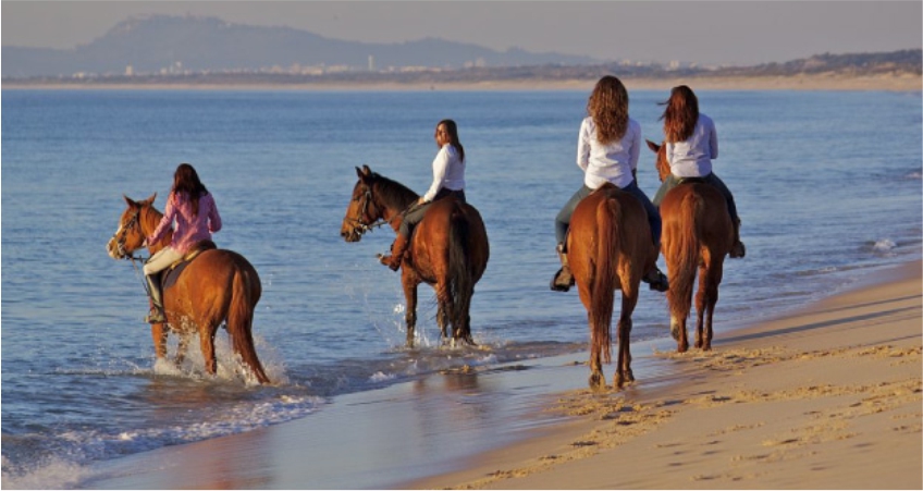 Cavalos na Areia