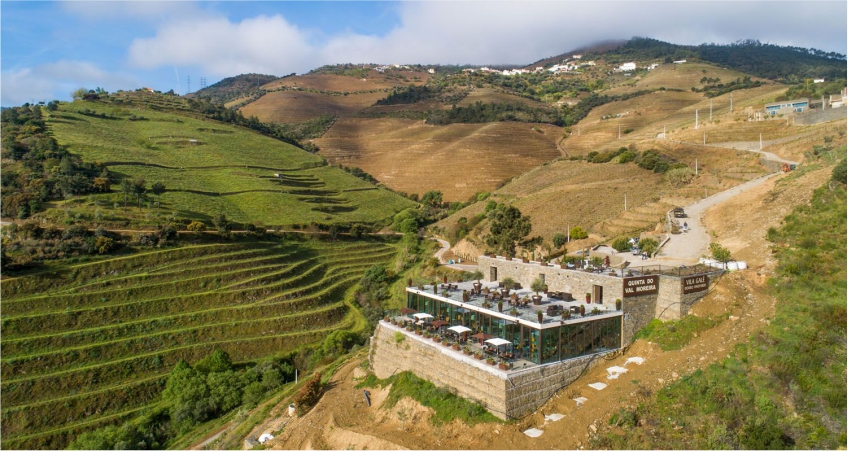 Vila Galé Douro Vineyards