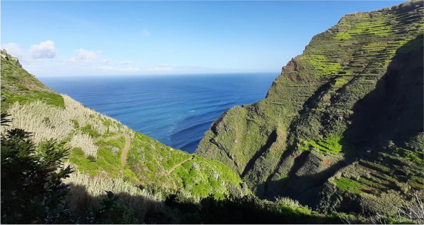 Madeira Wonder Hikes