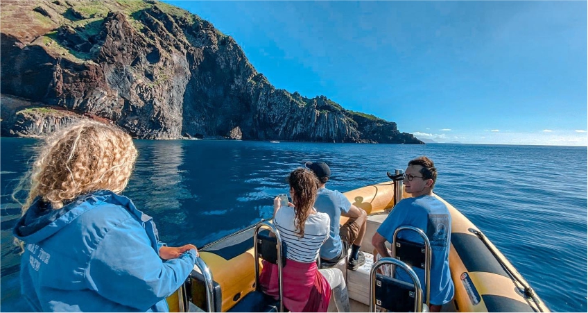 Madeira Sea Emotions - Whale and Dolphin, Kayak and Boat Tours