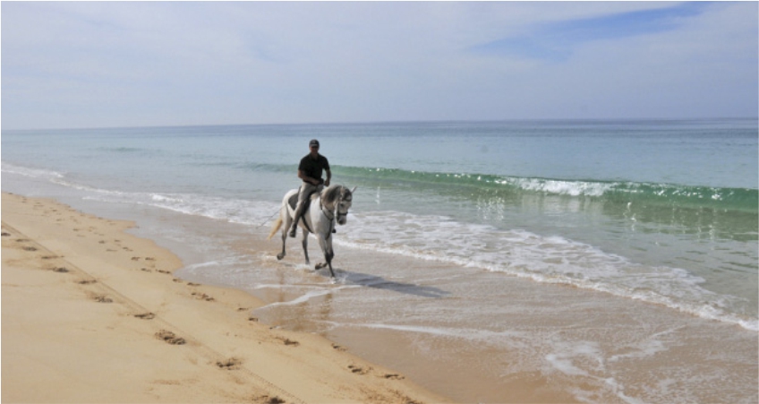 Cavalos na Areia
