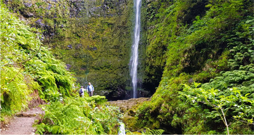 Passeio Pedestre Ilha da Madeira: Levadas Rabaçal e 25 Fontes