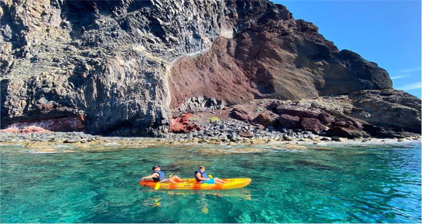 Madeira Sea Emotions - Whale and Dolphin, Kayak and Boat Tours