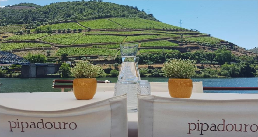 Pipadouro - Vintage Wine Travel