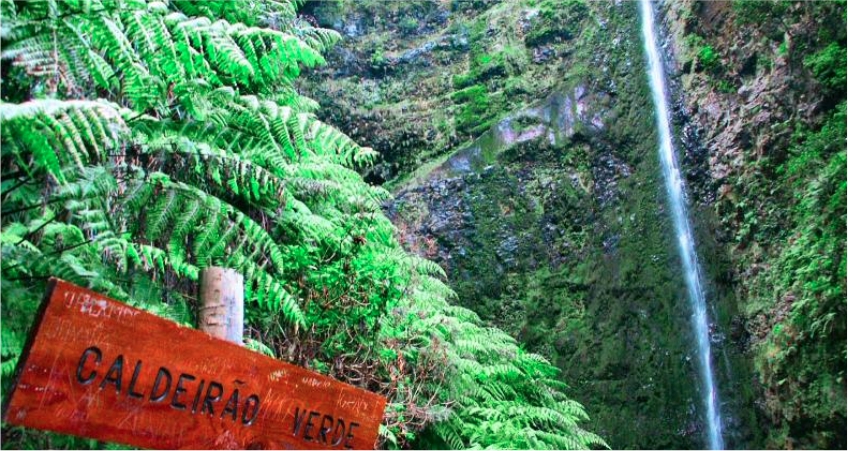 Passeio Pedestre Ilha da Madeira: Levadas Rabaçal e 25 Fontes