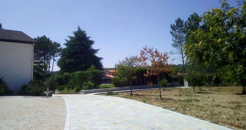 Pinheirinhos - Quinta de São Caetano