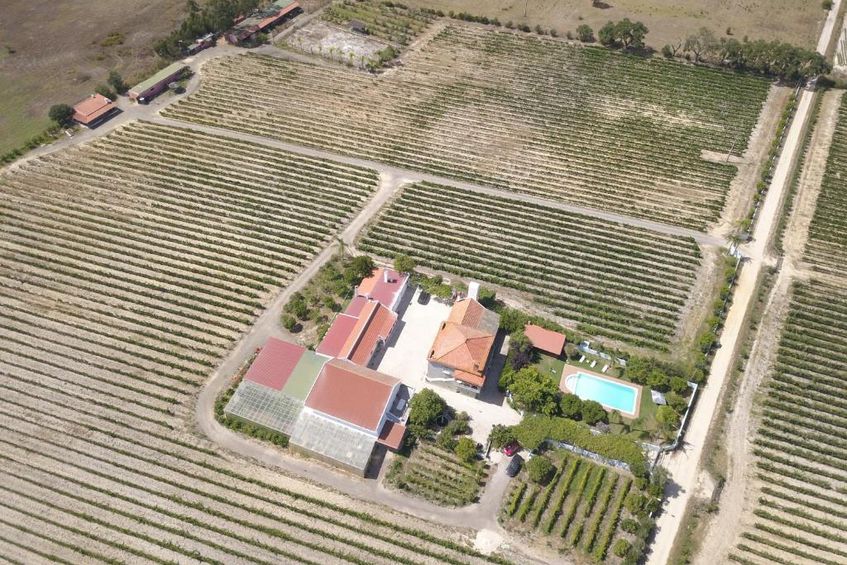 Quintinha do Poceirão