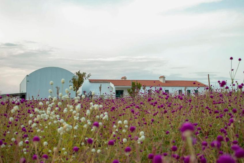 Monte de Palma - Quinta Biodinâmica