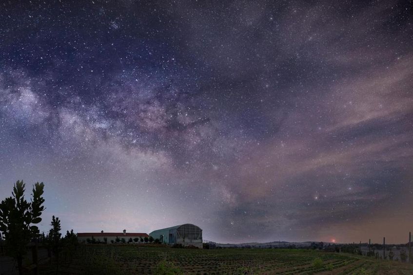 Monte de Palma - Quinta Biodinâmica