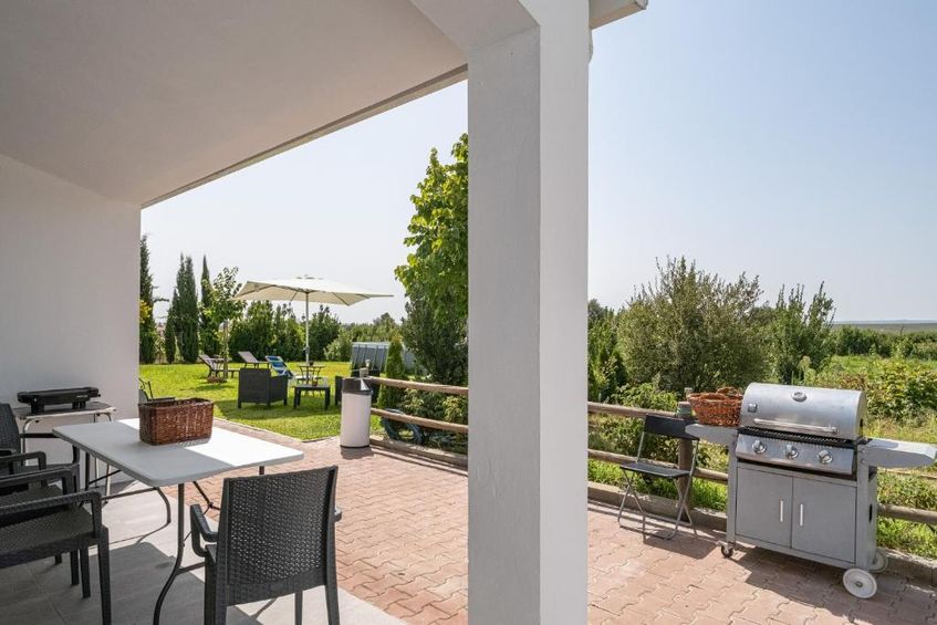 Monte de Palma - Quinta Biodinâmica