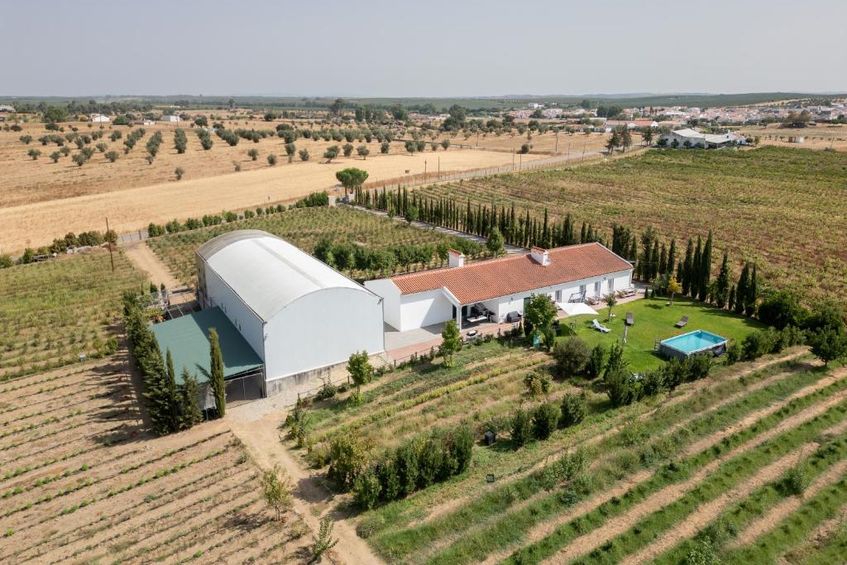 Monte de Palma - Quinta Biodinâmica