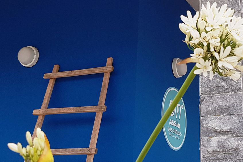 Our Adventure & Yoga