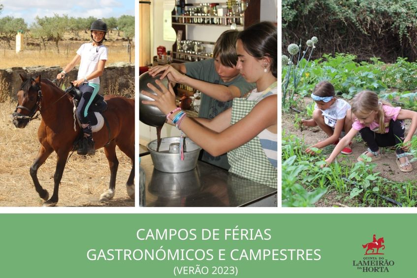 Campos de Férias 2023