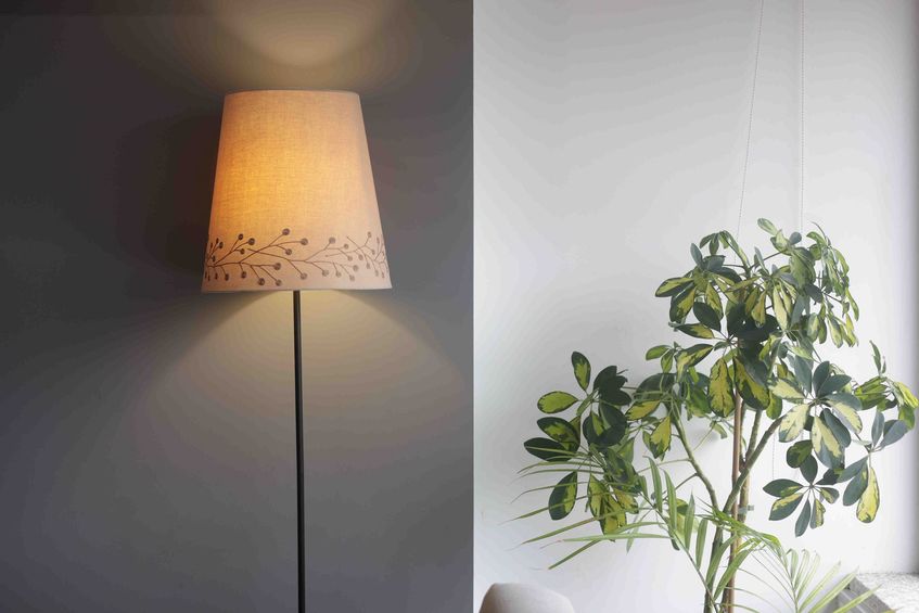 Escapadinha Romântica Gerês + Jantar