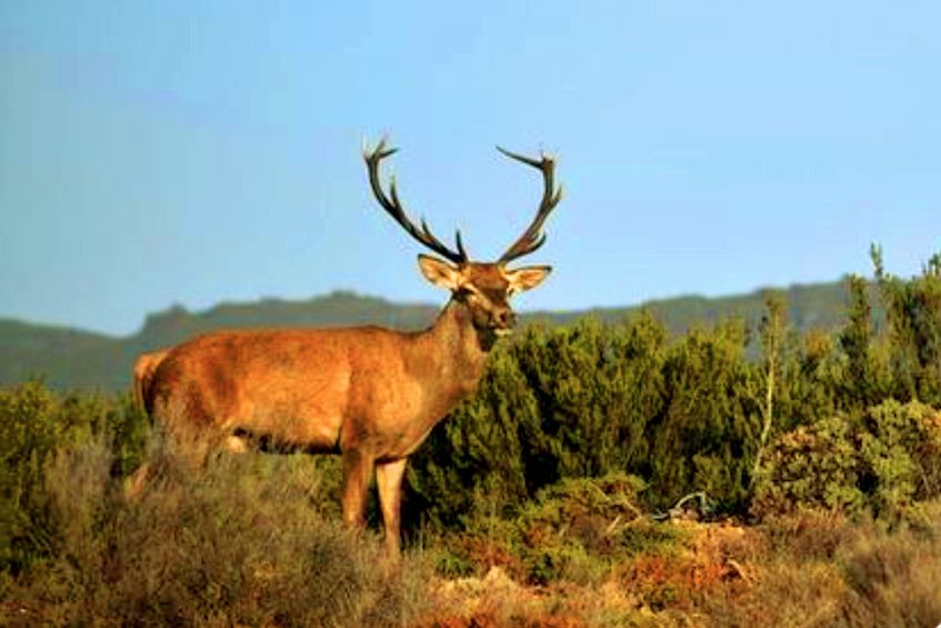 Parque Natural Montesinho: 3 noites para fugir à rotina