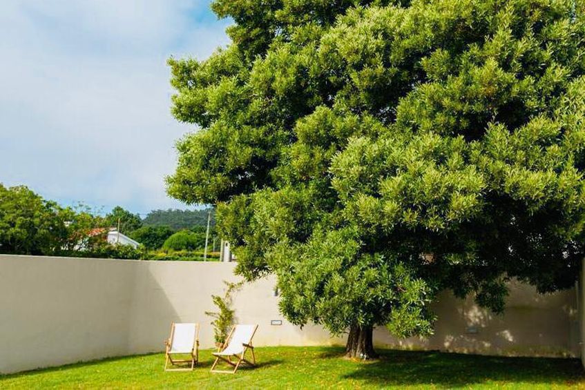  Afife Sea & Mountain Retreat With Pool