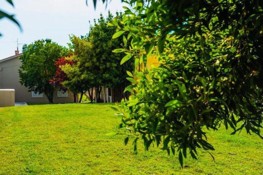  Afife Sea & Mountain Retreat With Pool