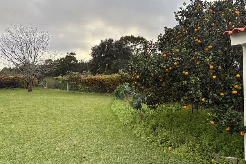 Alma Calorosa - Garden Apartment